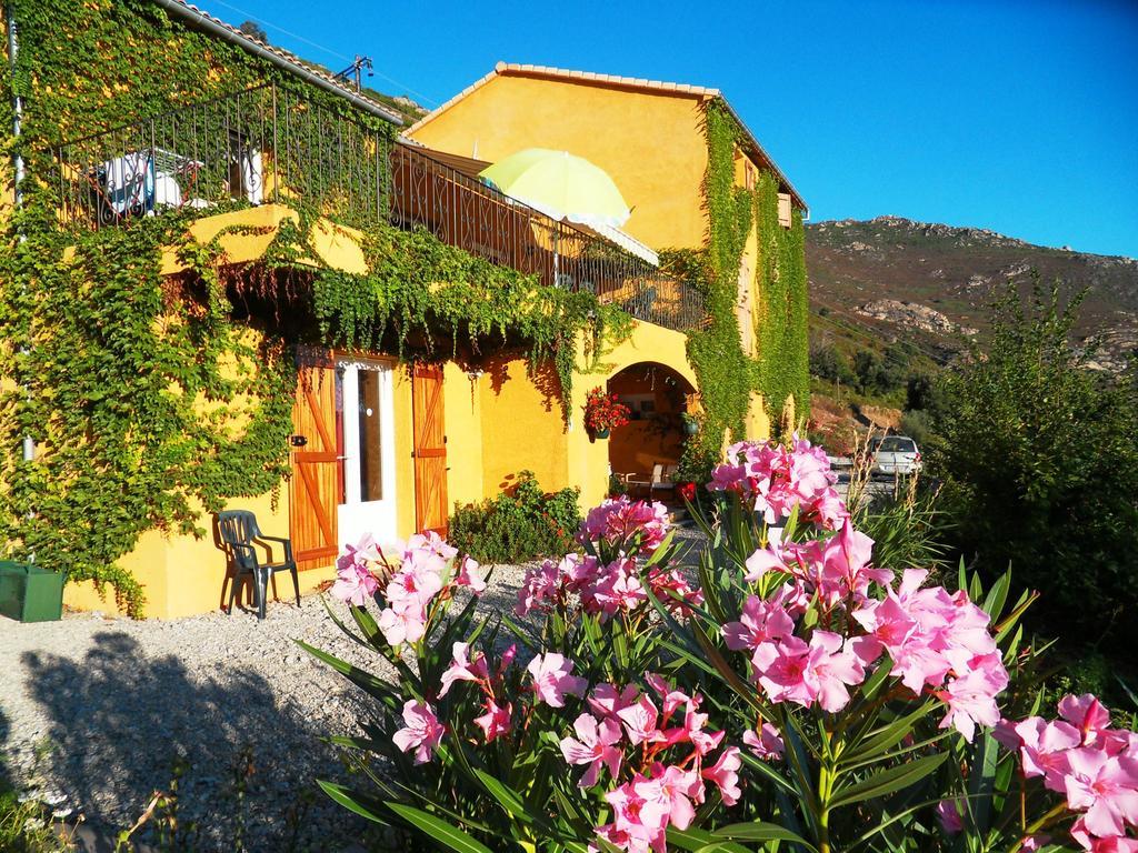 A Pianella Hotel Castirla Exterior foto